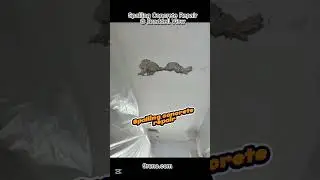 Spalling Concrete Repair Ceiling Service @ Braddell View Singapore