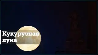 Необычная луна в Москве