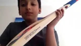 Cricket Bat Review