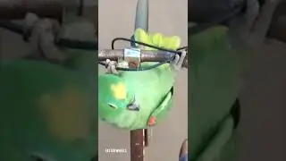 Cheapest TURBO EVER #fast #turbo #boost #green #parrot #bicycle #adrenaline #kicks #twowheeler