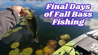 Final Days of Fall Bass Fishing 2025 | J-Hooked Fishing