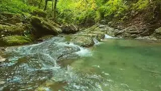 🌊💙 Refreshing River Sounds | Ultimate Nature Ambience for Relaxation & Sleep 🌿