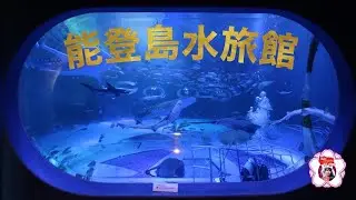 能登島水旅館　Notojima aquarium