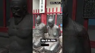 The Slap 👋  #factlovers #facts #animals #new #funny #trending #memes #ytshorts #insects #viralvideo