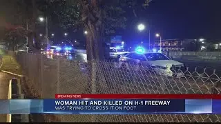 Fatal traffic incident near Houghtailing exit westbound on H-1
