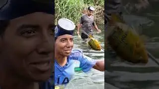 Que hermoso ejemplar #pesca