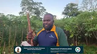 National Export Development Program (NEPD)