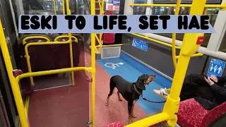 A Regular Day in My Life | Simple Vlog #travel #vlog #dailyvlog #motivation #vlogger #london