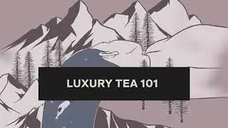 Luxury Tea 101 | METZ
