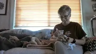 February 2022 - Virtual Open House at Milo's Sanctuary, Inc.
