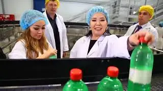 История компании Глобал Тренд / Global Trend. Концентрат Павлов Спринг / Pavlov Spring
