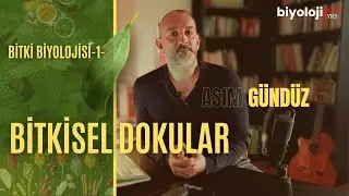 BİTKİ BİYOLOJİSİ-1 (BİTKİSEL DOKULAR)