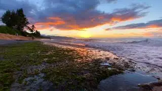When Nature Speaks and Time Stands Still