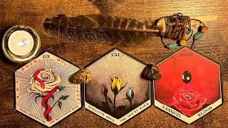 SCORPIO ♏️  &ldquo;THE GREAT WORK LEADS TO YOUR 10 of PENTACLES.&rdquo;  FEB 2025 TAROTORACLE READING