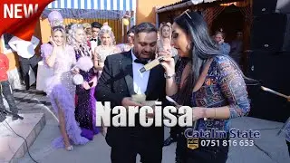 Narcisa - A Venit Nasa Cu Sacu si Nasu Cu Diplomatu - Colaj Manele NOI - LIVE - TOP