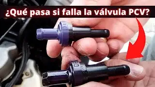 5 Fallas de la Válvula PCV (Función Ubicación y como PROBARLA en CASA)