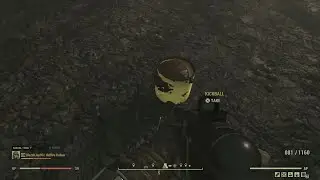 Random Fallout 76 Bug