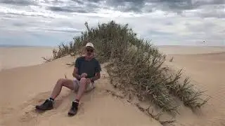 Spinifex,  the most aggressive coastal pioneer plant in the world