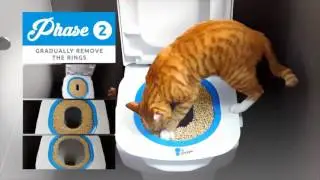 TheLastLitter Cat Potty Trainer