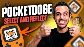 Pocket Doge - Select and Reflect, Game, Video, Music, NFT, and Hard Wallet