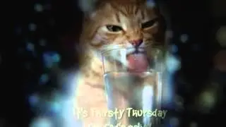 Funny Thursday Quotes