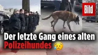 Polizisten verabschieden sich von ihrem alten Polizeihund