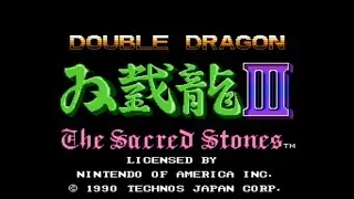 No Deaths Playthrough of Double Dragon 3 NES