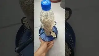 Bird Feeder|Best Out Of Waste