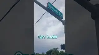 Opa Locka - Miami Walking Tour🌴  #opalocka #miami #florida #walkingtour #ytshorts #outdoor #walking