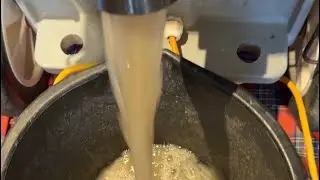Professional Rug Cleaning 