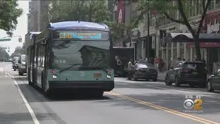 14th Street Car Ban Goes Into Effect