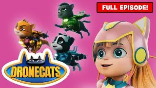 DRONECATS: Meow You See Me! | Superhero Cartoon | Mission 3