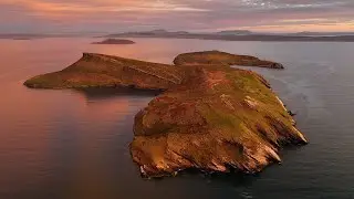 Hummock - Reviving a nature paradise