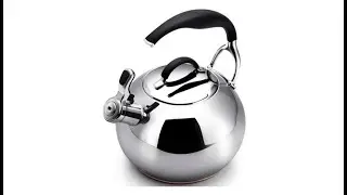 XJJZS Tea Kettle - Stainless Steel Whistling Teapot with Bottom and Mirror Finish