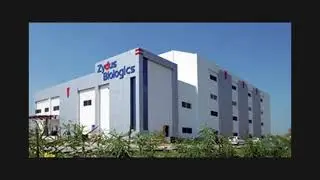 about Zydus cadila healthcare.india top MNC