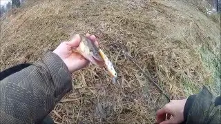 FishComm Shop: Твичинг. Щука на Fishycat Tomcat 80SP-SR