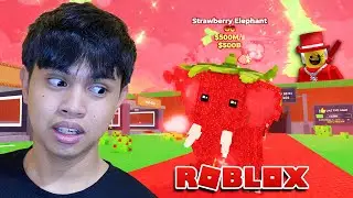 Nagkaron ako ng ADMIN POWER sa STEAL A BRAINROT