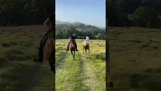 My favourite thing to do in the world 🤩 #horseriding #gallop #libertyhorse #australia #equestrian