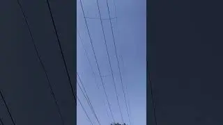 Guarding cage wire to prevent electrocution