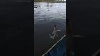 memancing ala suku Dayak seruyan