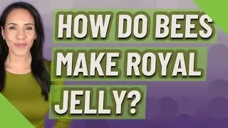 How do bees make royal jelly?