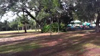 Moss Park in Orlando: Orlando Local Guide
