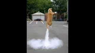 selection of funny videos🤣🤣🤣👌#amazing stunts,#best fail videos 2023,#best fails of the week