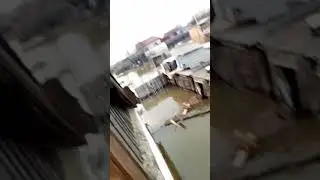 ну как без юмора. #приколы #курган #лайк