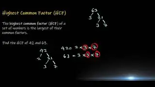 Master the Highest Common Factor (HCF) in under 2 mins
