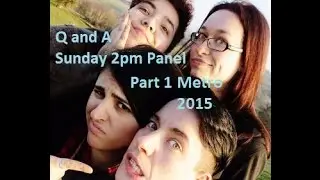 MetroCon 2015 - Parle 2pm panel Sunday - Part 1