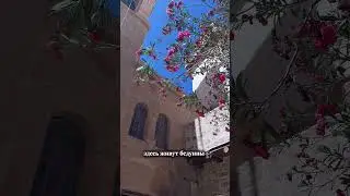Тысячи лет- один путь. Гора Синай #шармельшейх #travel #египет
