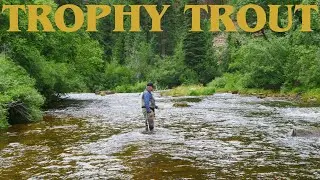 Fly Fishing the Famous Frying Pan River in Colorado