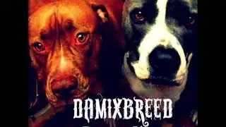 Da Mix Breed - Iron Man