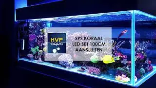 Hoe sluit je een SPS Koraal Led Set 100cm aan?